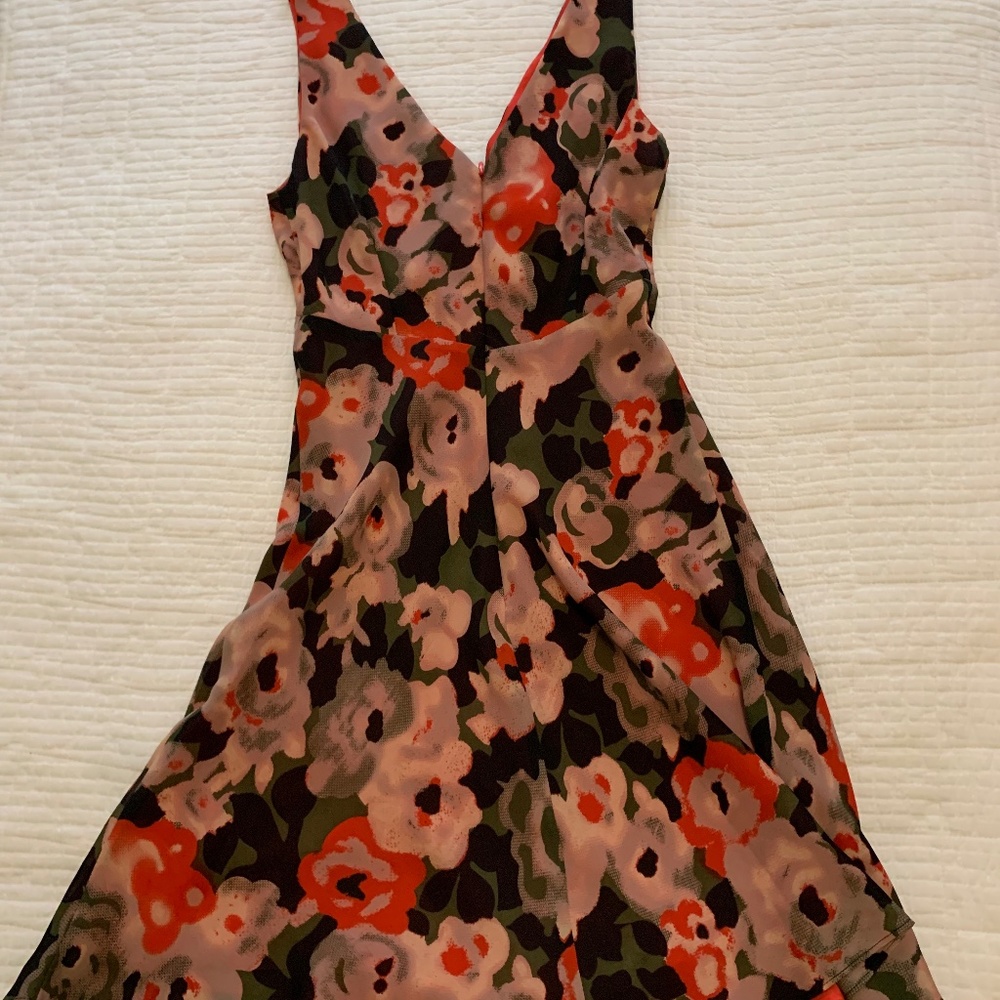 Express Floral Dress